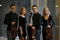 Artist photo of Gmeaux Quartett - string quartet