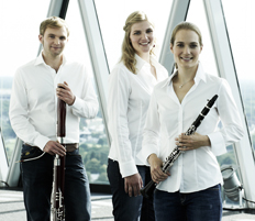 Artist photo of Trio Elego