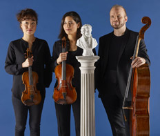 Artist photo of Trio Boccherini - String Trio